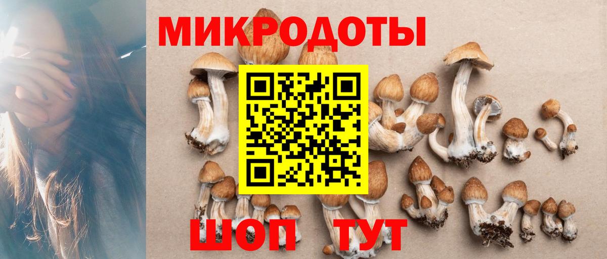 Галлюциногенные грибы прущие грибы Новоалександровск