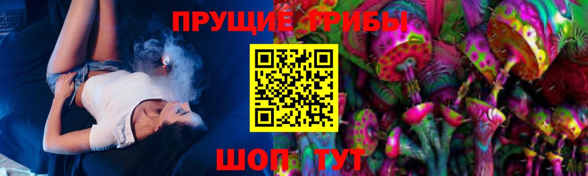 Новоалександровск  Псилоцибиновые грибы мицелий  где можно купить наркотик  Галлюциногенные грибы Psilocybine cubensis  Вход с VPN 
