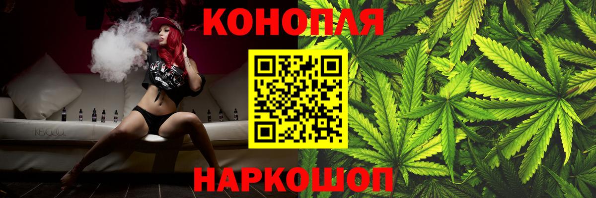 Конопля гибрид Новоалександровск